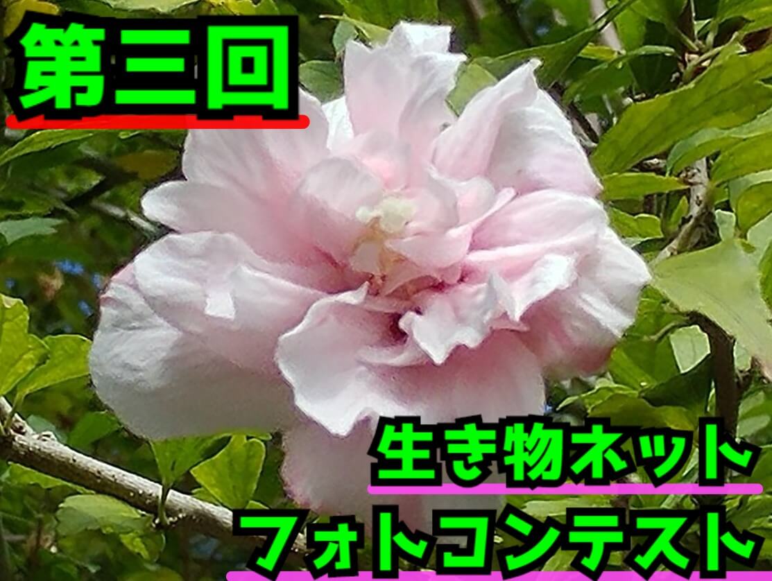 Thumbnail of post image 129